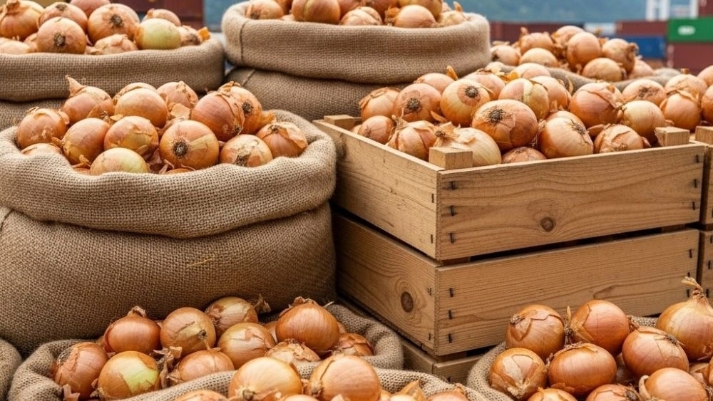 Exports of onions to Gulf states in Talesh Gilan Exports of onions to Gulf states in Talesh Gilan